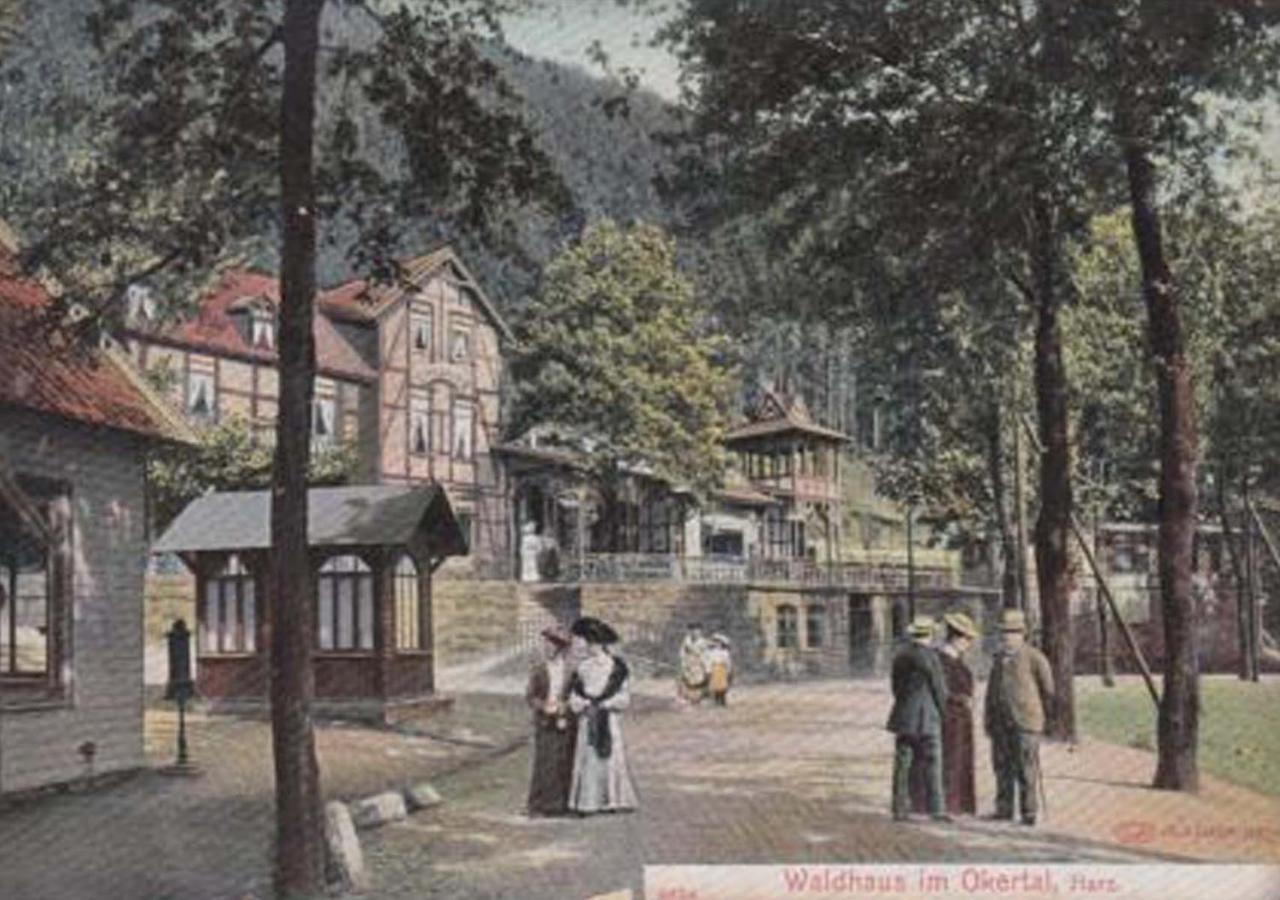 Waldhaus Im Okertal Hotel Goslar Ngoại thất bức ảnh
