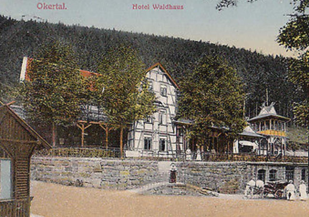 Waldhaus Im Okertal Hotel Goslar Ngoại thất bức ảnh